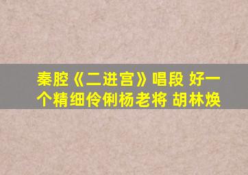 秦腔《二进宫》唱段 好一个精细伶俐杨老将 胡林焕